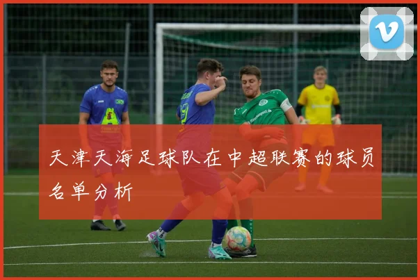天津天海足球队在中超联赛的球员名单分析