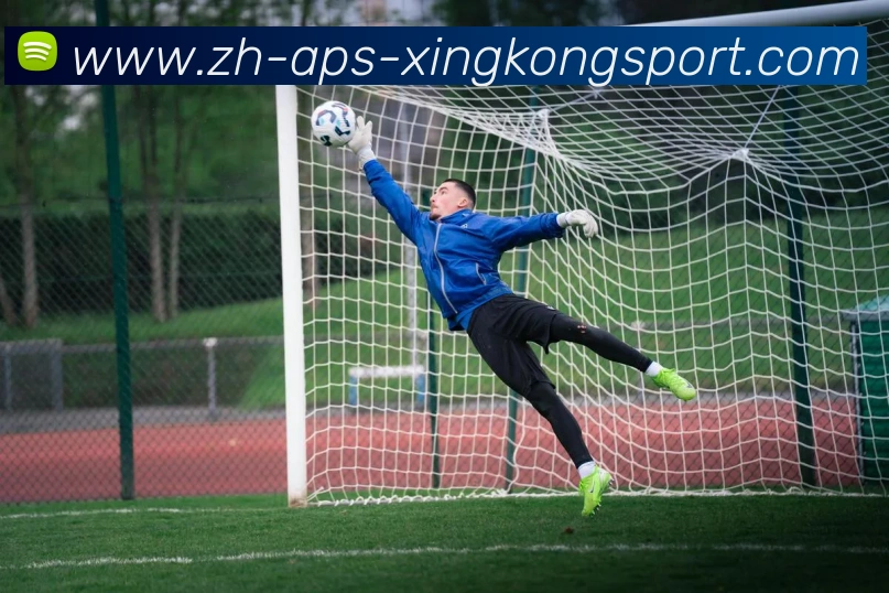 星空体育平台生态图