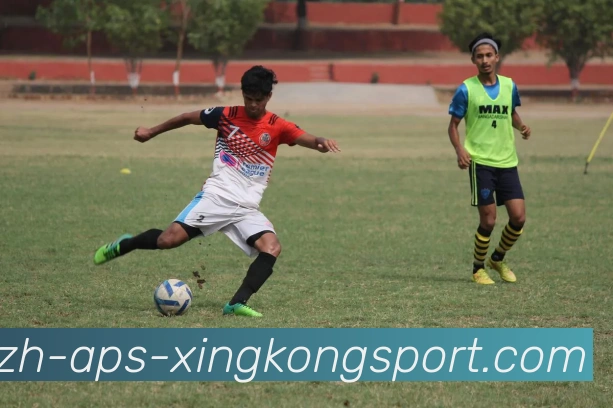 星空体育APP 封面图